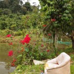Janda Baik: A back to nature retreat from Kuala Lumpur
