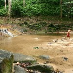 Staying at the Forest Research Institute Malaysia (FRIM)