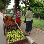 Fresh fruit in Laos