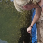 Langkawi mangrove tours