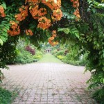 Penang Botanic Gardens