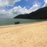 Jungle trekking in Penang