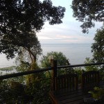 Review: Tree Monkey, Penang