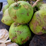 Phnom Penh street food: Coconut water