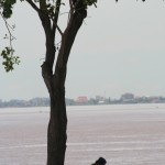 How to cope with Phnom Penh's riverside hassle