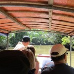 Mekong Delta day tour