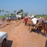 Motorcyles in Siem Reap