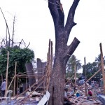 Siem Reap's north riverside evictions...