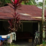 Kampong Buangkok: Singapore?s last traditional village