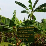 A visit to the farms of Singapore?s Kranji countryside