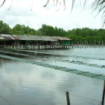 Farm Buu Nim: A food adventure near Chanthaburi