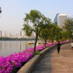 Bangkok’s Benjakiti Park