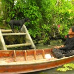 Phrases every visitor to Thailand should know: Jai yen