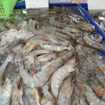 Self-catering on Samui