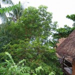 Review: The Sanctuary, Haad Thian, Ko Pha Ngan