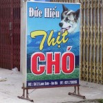 Greyhound racing in Vung Tau