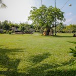 Saigon parks: part 2