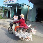 Hoi An street food