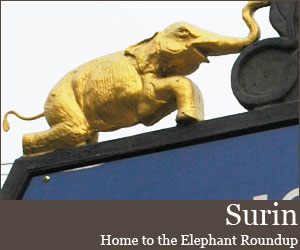 Photo for Surin