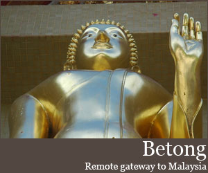 Photo for Betong