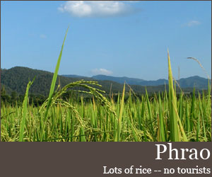 Photo for Phrao