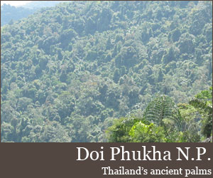 Photo for Parc national de Doi Phukha