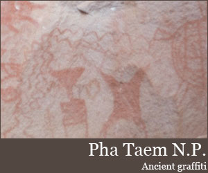 Photo for Parc national de Pha Taem