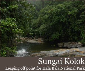 Photo for Sungai Kolok