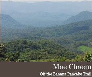 Photo for Mae Chaem