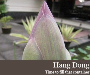 Photo for Hang Dong
