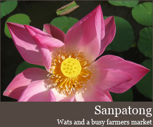 Photo for Sanpatong