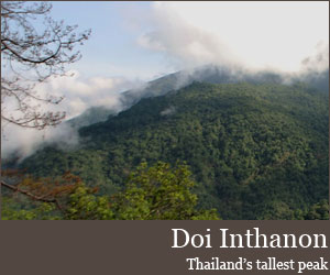Photo for Doi Inthanon