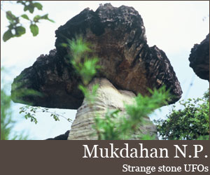Photo for Parc national de Mukdahan