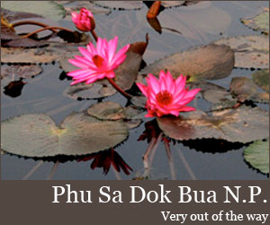 Photo for Parc national de Phu Sa Dok Bua