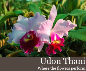 Photo for Udon Thani