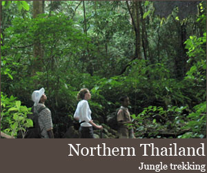 Nord de la Thaïlande
