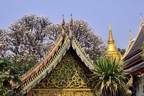 Weather and the best places to visit Thailand in November.