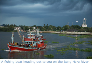 Fishing trawlers heading to sea on the Bang Nara River, Narathiwat