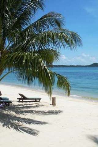 What to do in Ko Samui, Thailand