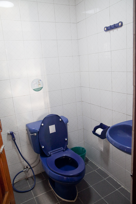The blue toilet of adequacy 