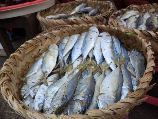 Something fishy? All about Cambodia’s prahok