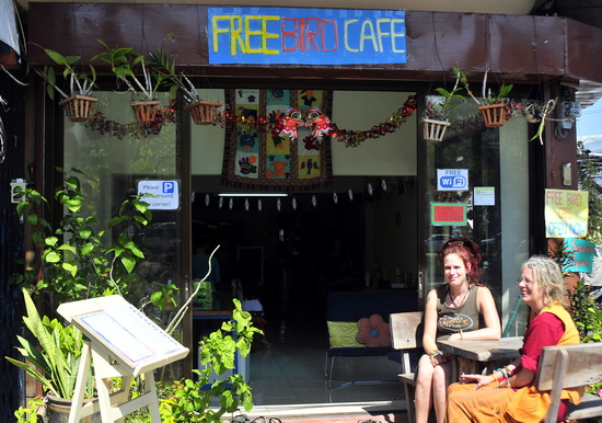 Free Bird Cafe - dreadlocks not compulsory
