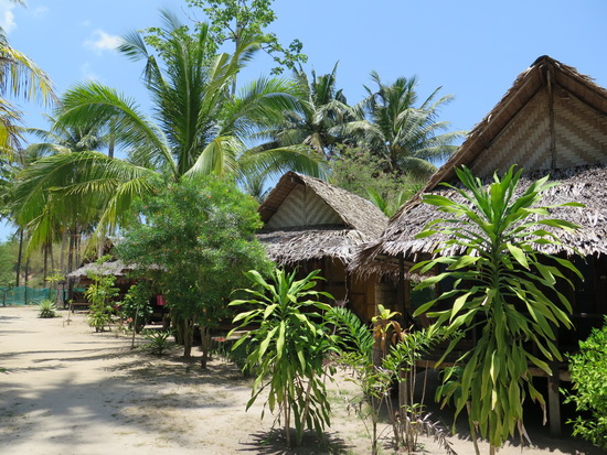 A happy little row of huts at Pasai Cottage.