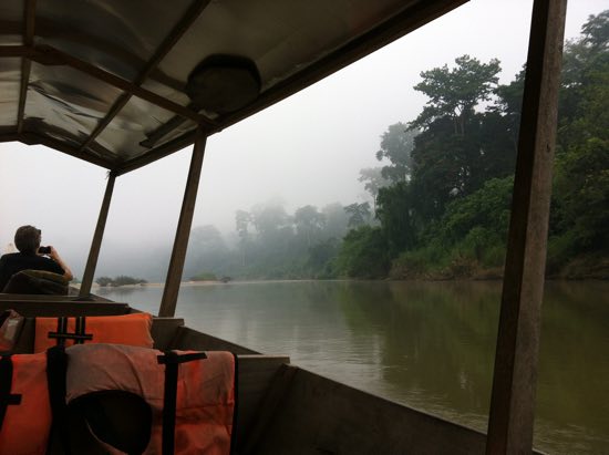 Misty & moody leaving Taman Negara.