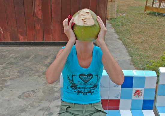 Don't like getting wet? Try hiding behind a coconut.